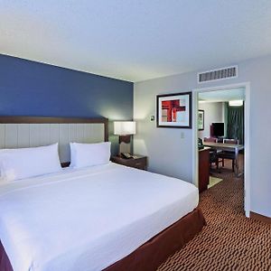 Large King Suite